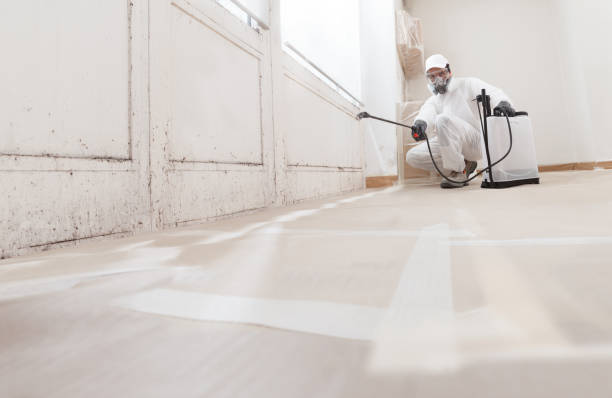 24/7 Emergency Attic Mold Removal experts in Yale, MI